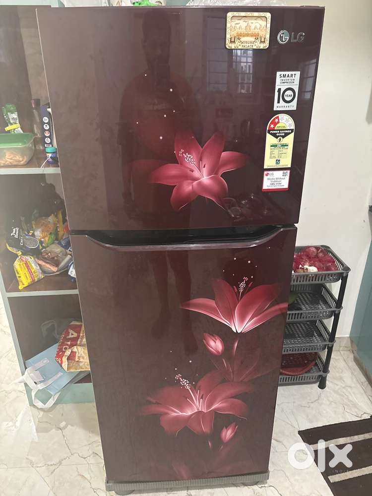 Lg doubel door fridge