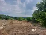 10 ACKRS AGRICULTURE LAND FOR SALE