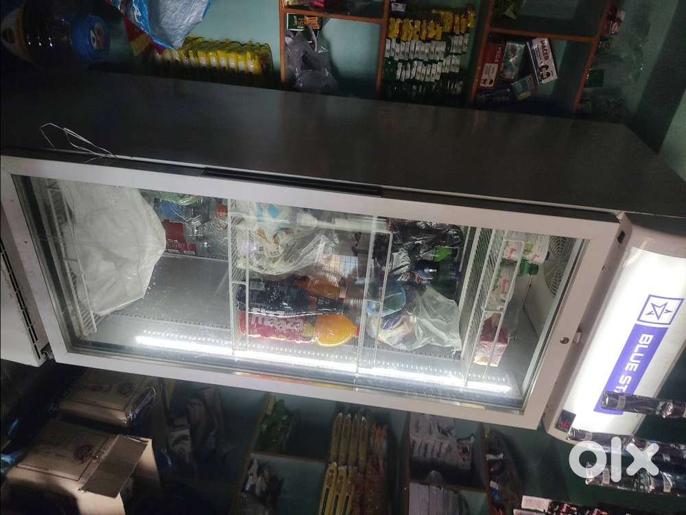 Bluestar visi fridge