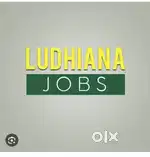 Ludhiana jobs security guard day or night shift