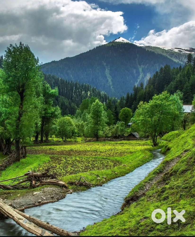 Required female office receptionist for car garage.