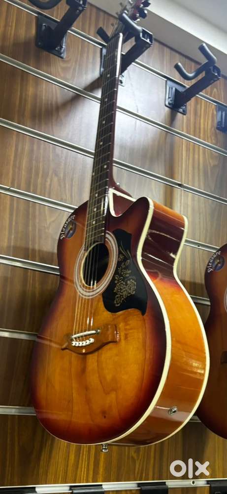 pleasure guitar