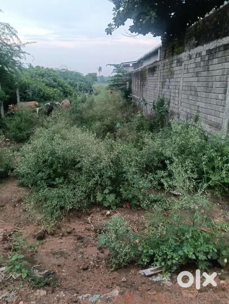 தொழிற்சாலைகள் உள்ள பகுதியில் இடம் உள்ளது