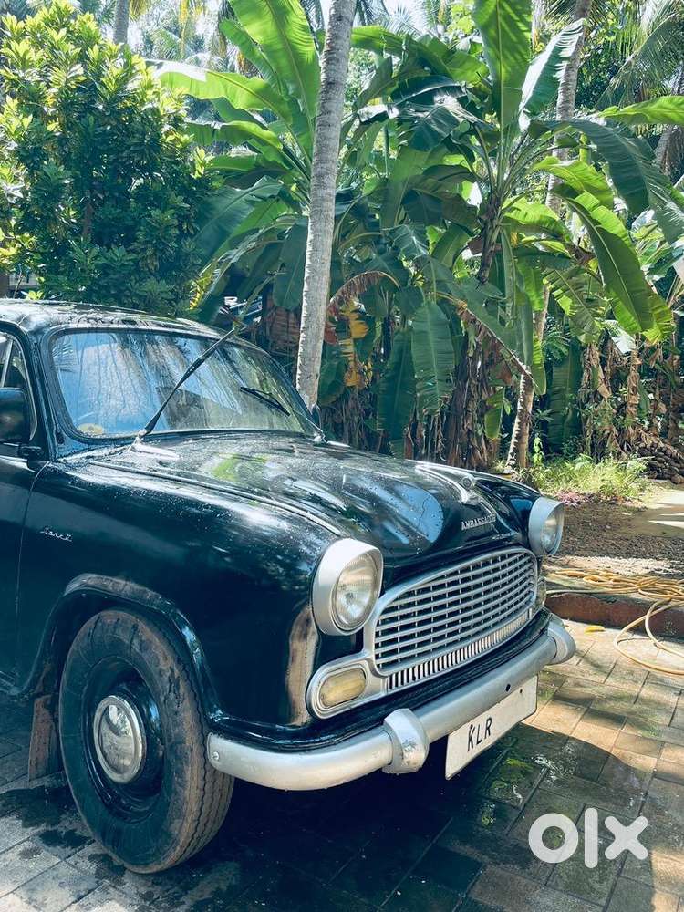 Ambassador Mark 2