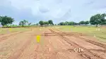 Plots for sale, Beside shree guru vidhyapeeth. Jewargi Road