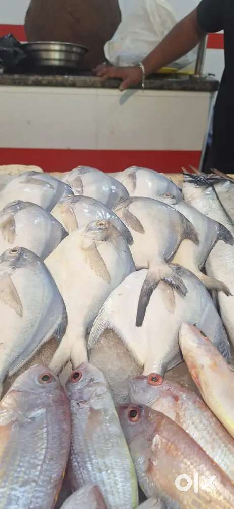 Fish and chicken cutter