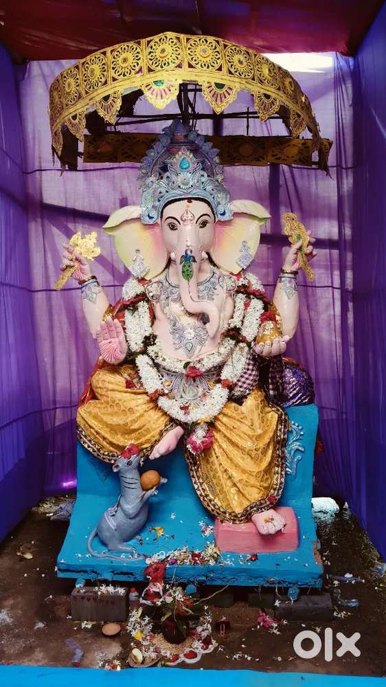 I am 8 year old 4 whiler car driver