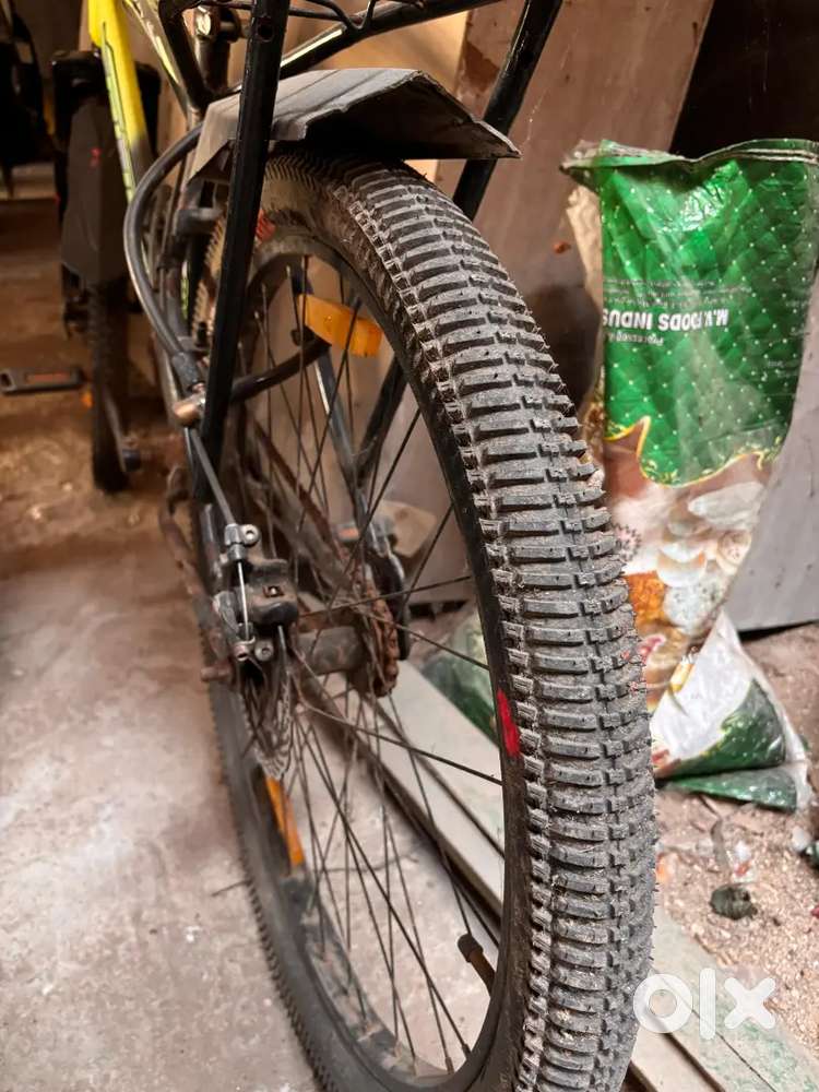 BICYCLE IN BUDGET