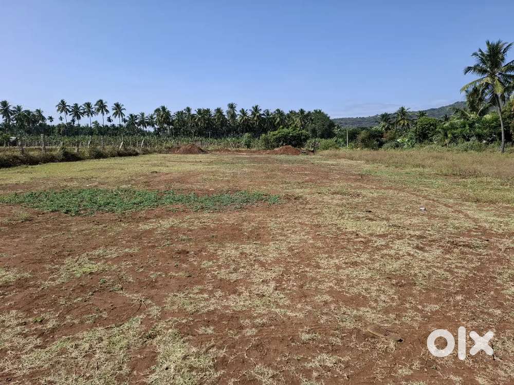 Thayanur UIT college Near