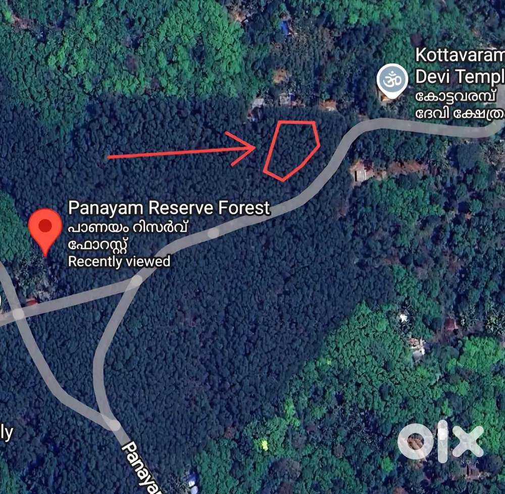 3 Acres Rubber Plantation for Sale at Panayam