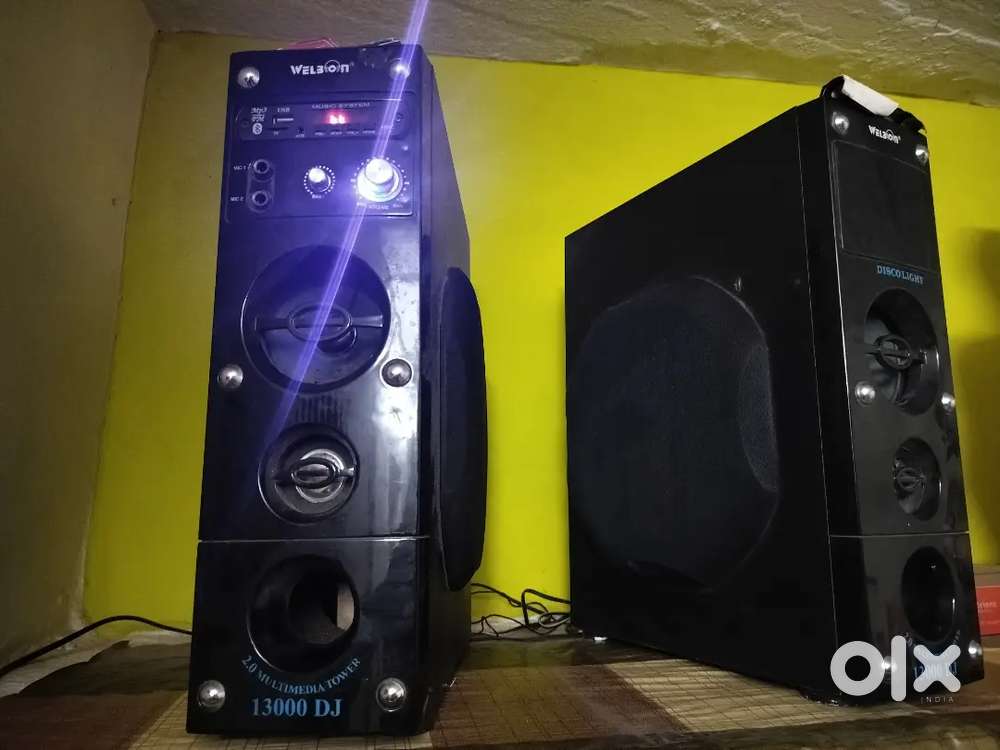 Big 13000DJ powerfull bass speaker