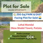 250 Gaj PARK & EAST Facing Plot for Sale in New Model Town, Patiala