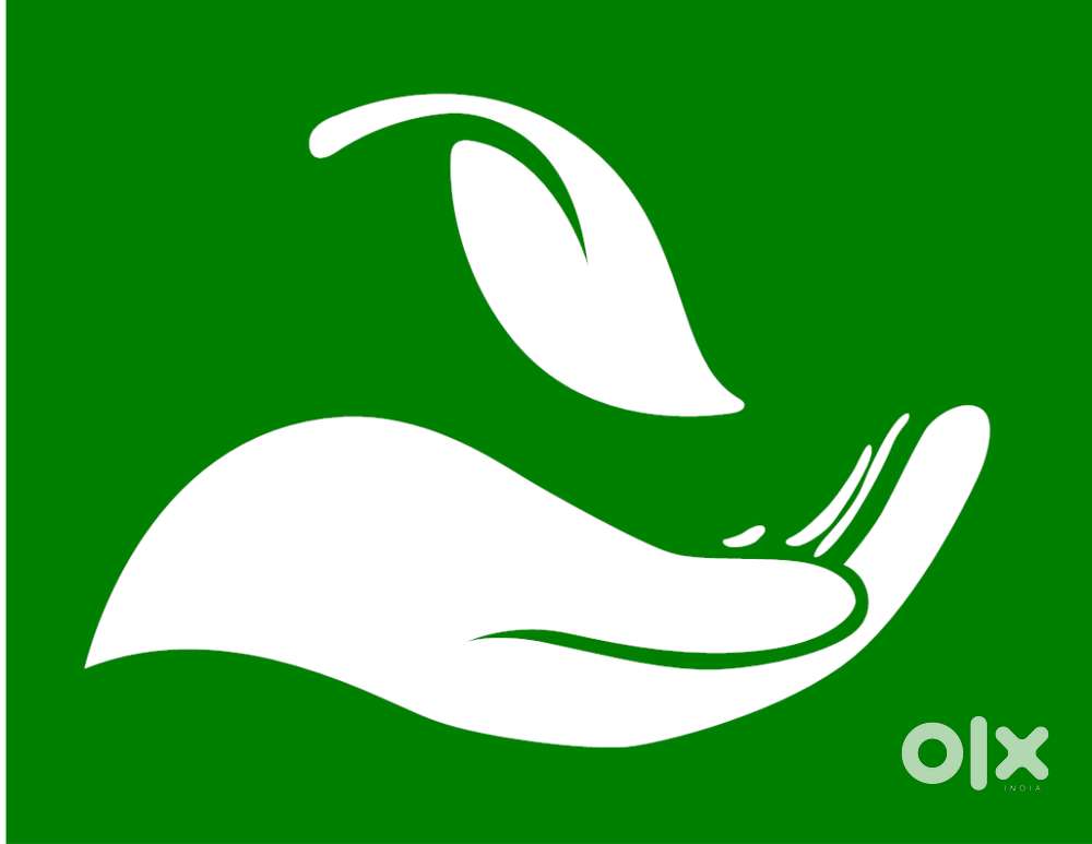 Business Development Executive