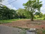 Palachuvadu 8 Cent Land For Sale