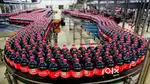 Wanted male/ female factory packing helpers