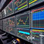 Stock market pro trader