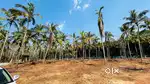 Individual land under construction at pathiripala mangalam
