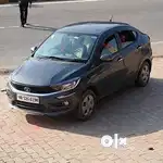 Tatà tígór top