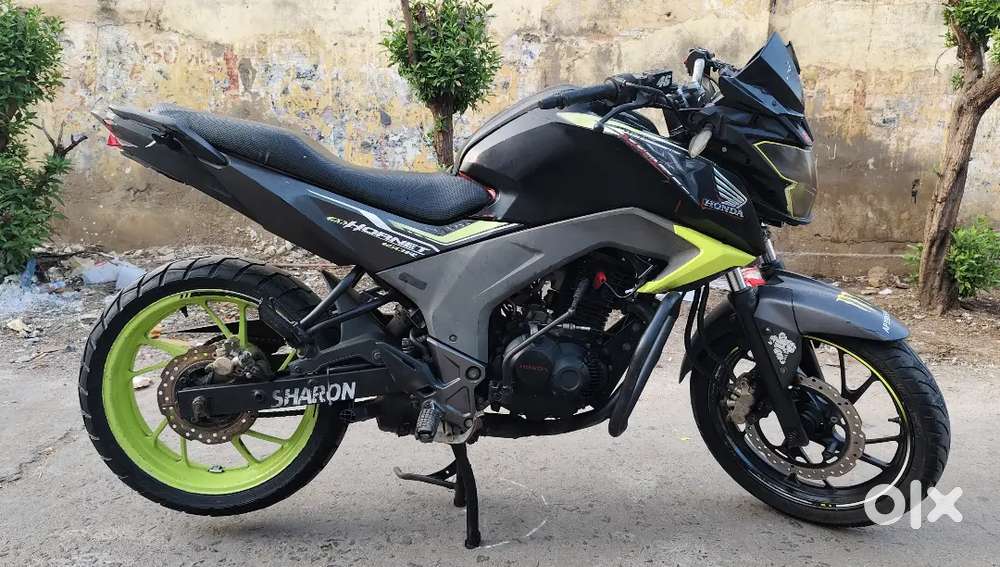 Honda hornet