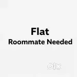 Roomate needed fully furnished flat near by chitkara and cgc