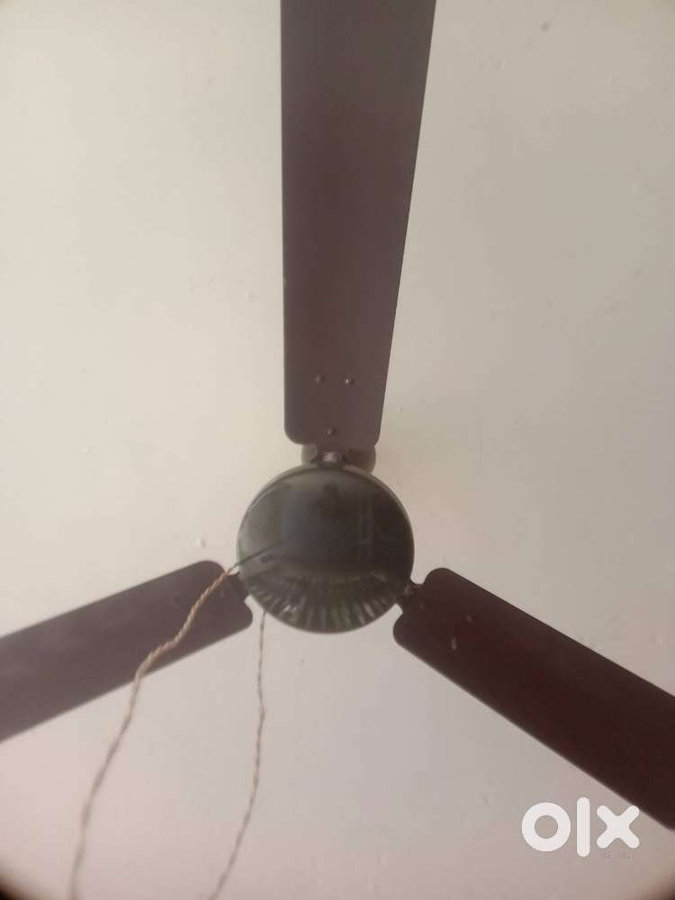 Ceiling Fan