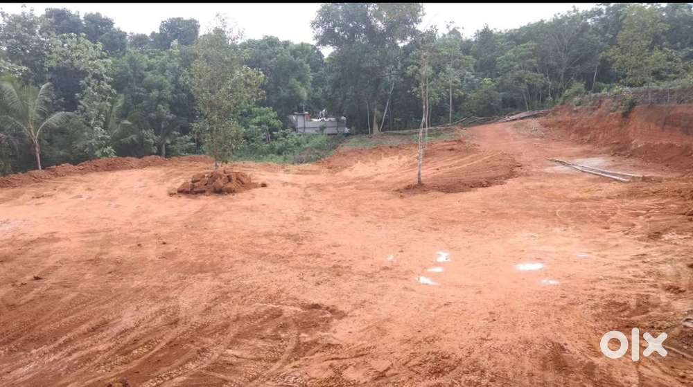 Residential Plot for Sale near Pattimattom