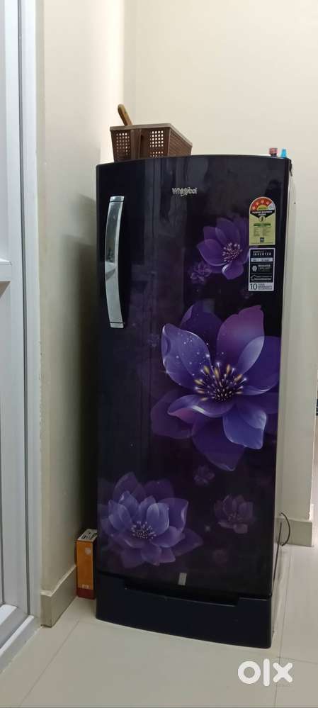 Whirlpool Fridge