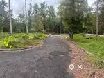 10, 8, 7 cent house plot near Beslehem church, Karukutty, Angamaly