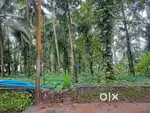 Peaceful residential plot upto 7 cents