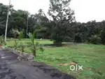 Premium Villas & Plots