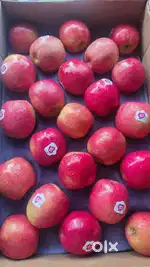 Supermarket sale staf nanthancode tvm