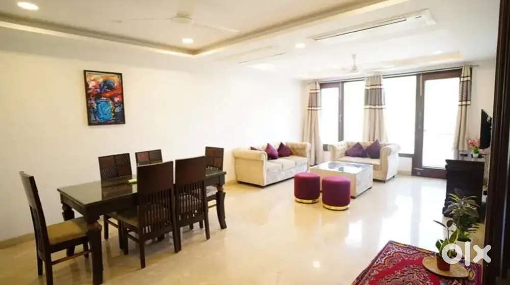 2BHK Fully Furnish Ac Apartment DD Puram