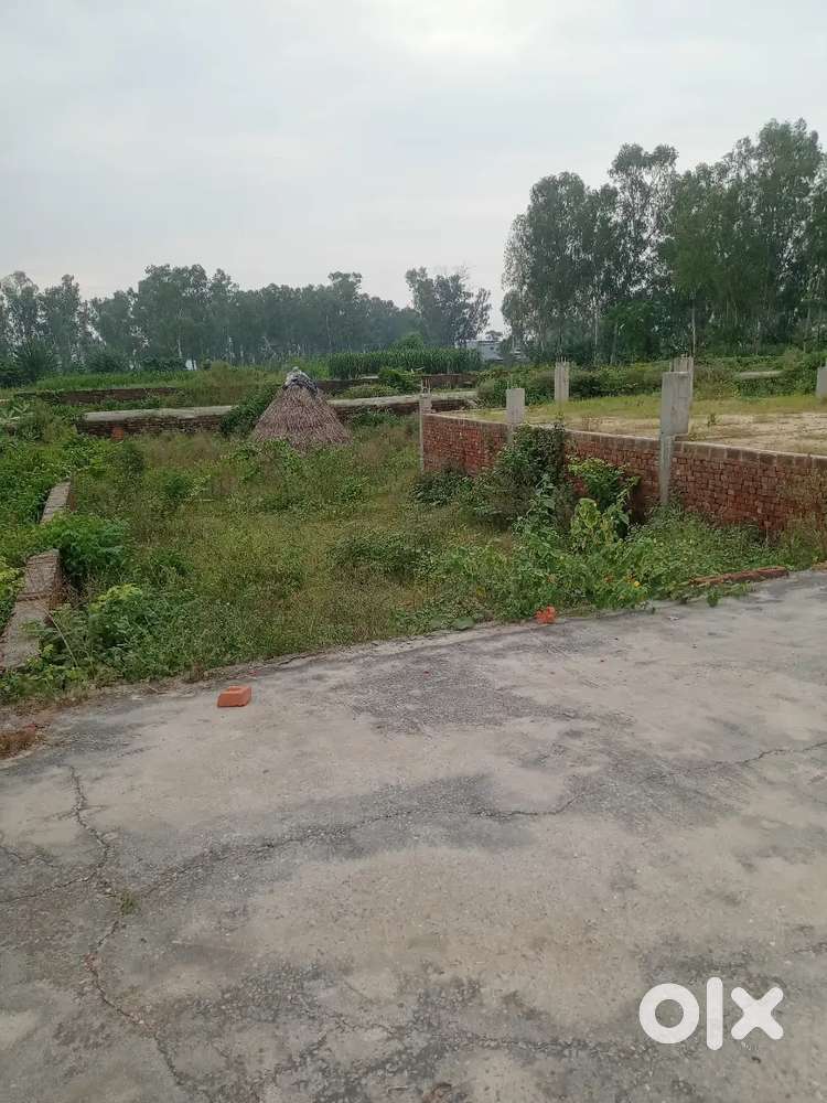 100-Yard Plot( DHANAURA ) Amroha by pass road near by kamalpur kaji