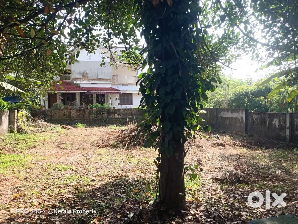 Residential Land 6.25 Cents Pottore Thrissur