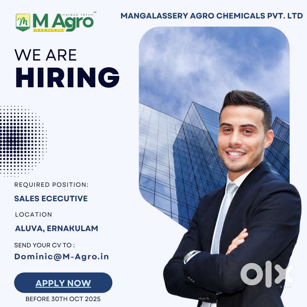 Sales Executive