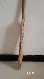 Bat name GM