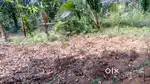 30 cent land for sale in between Athirampuzha and Ammancheri.