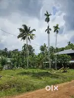 Nirmala കോളേജിന് സമീപം , 8 cent plote