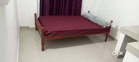 Furnished studio Flat/ Rooms for Rent at palarivattom