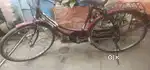 Hero Lady bird bicycle