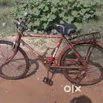 hey this is best cycle