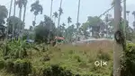 6 Cent land in Sulthan Bathery