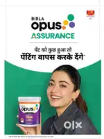 Field Sales Executive for Pehowa in Birla Opus Paint