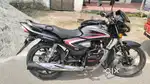 Honda shine Urgent sale