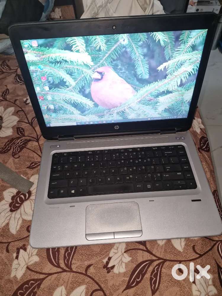 Hp laptop windows 10