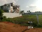 Cheyur Road Avanashi