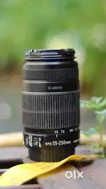 canon 55 250mm lens