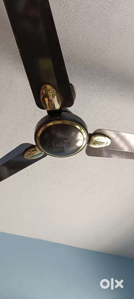 Sealing fan