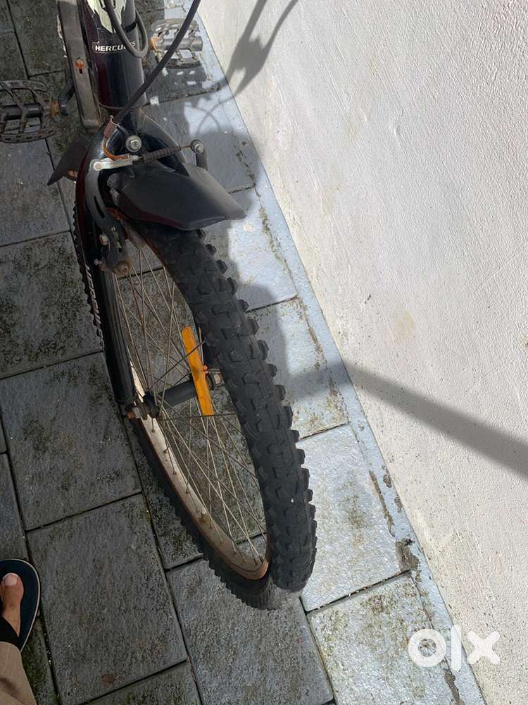 Medium size bicycle hercules