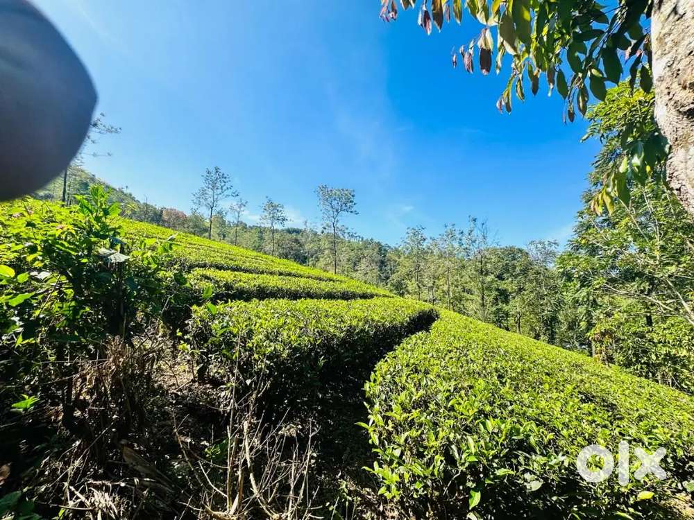 PLOT IN WAGAMON 90000/- per Cent